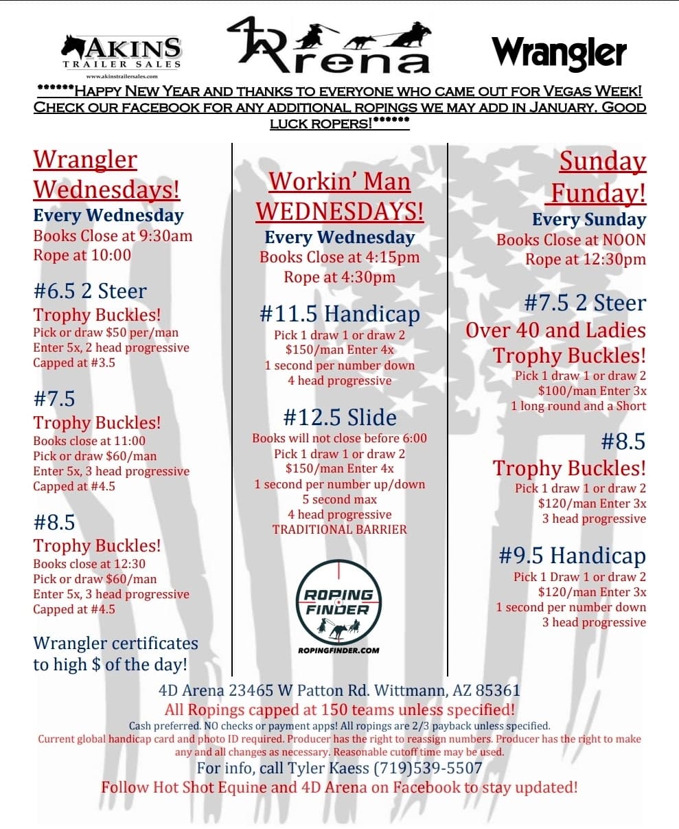 Wittmann, AZ-4D Arena flyer